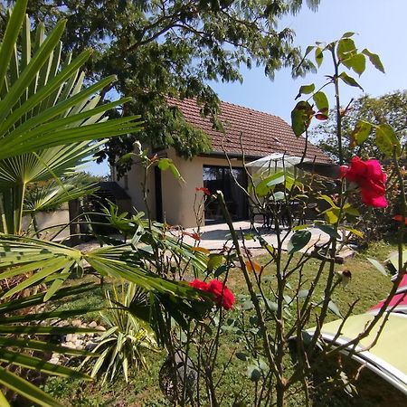 L'Albizia Gite Climatise St Maurice Saint-Maurice-en-Riviere ภายนอก รูปภาพ