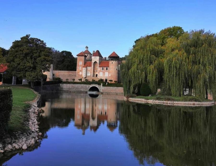 L'Albizia Gite Climatise St Maurice Saint-Maurice-en-Riviere ภายนอก รูปภาพ