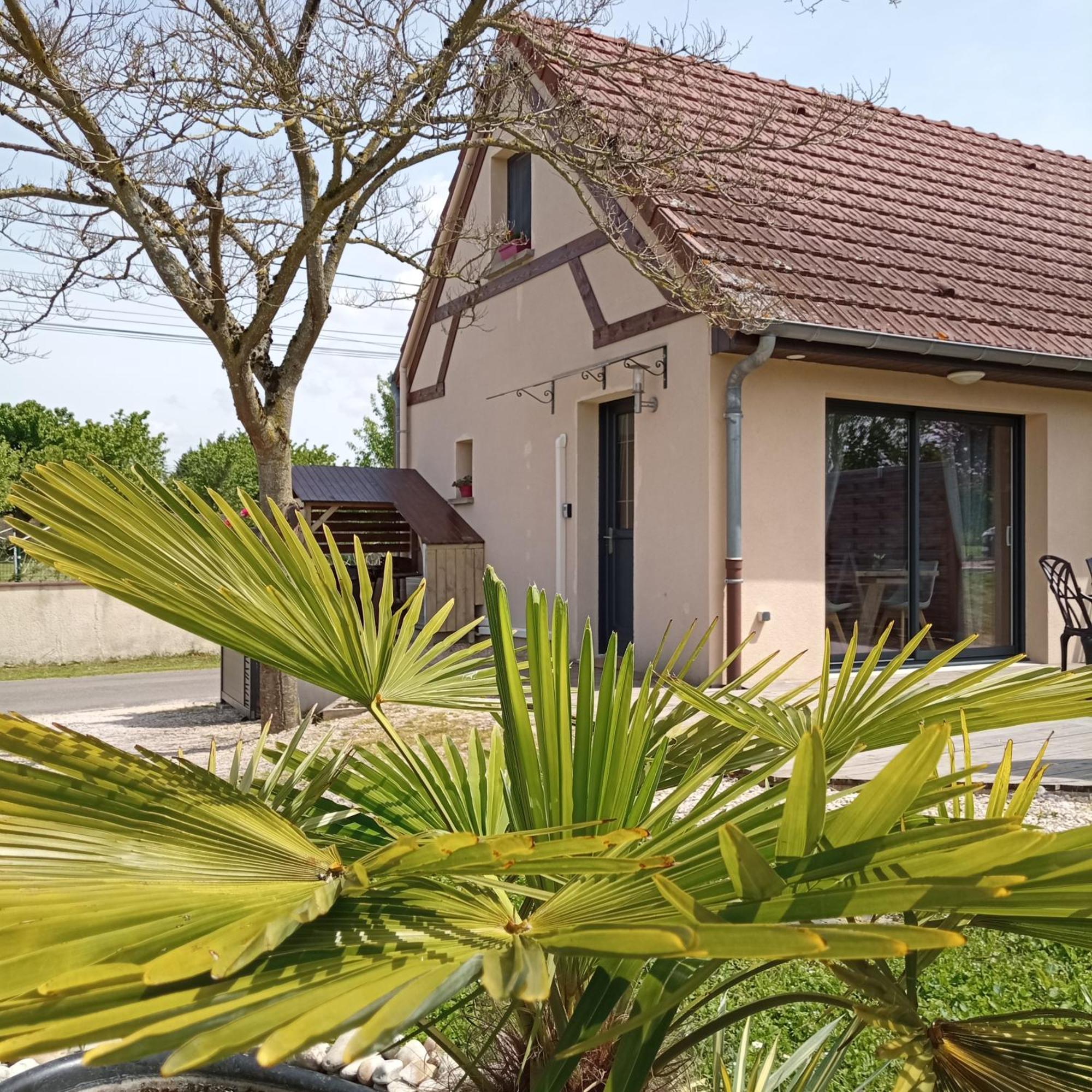 L'Albizia Gite Climatise St Maurice Saint-Maurice-en-Riviere ภายนอก รูปภาพ