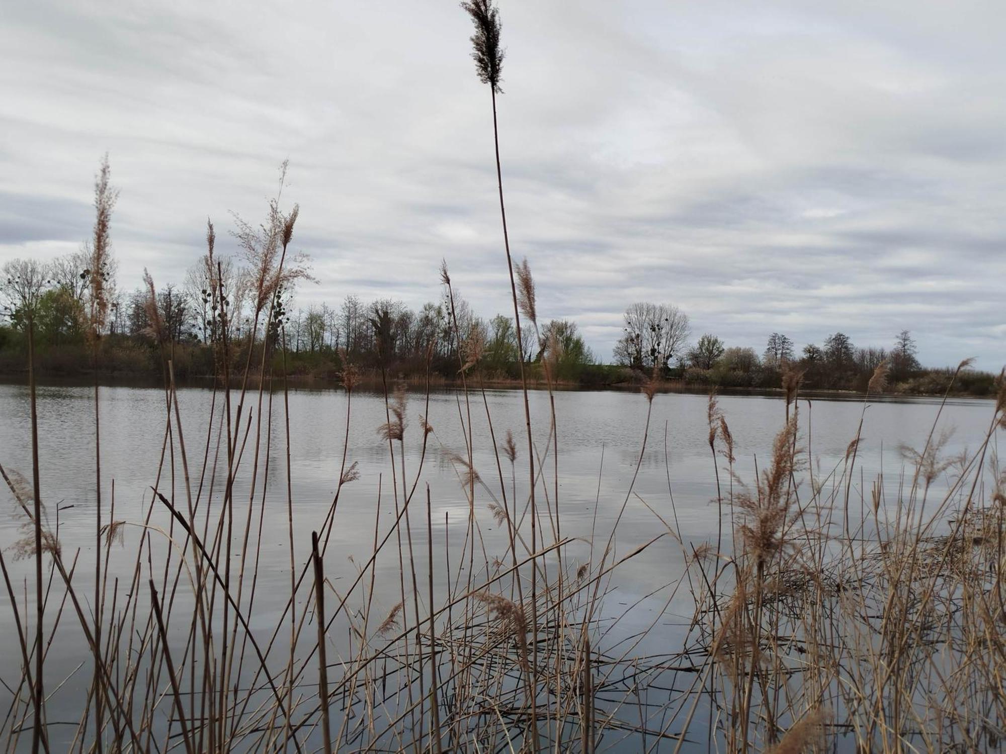 L'Albizia Gite Climatise St Maurice Saint-Maurice-en-Riviere ภายนอก รูปภาพ